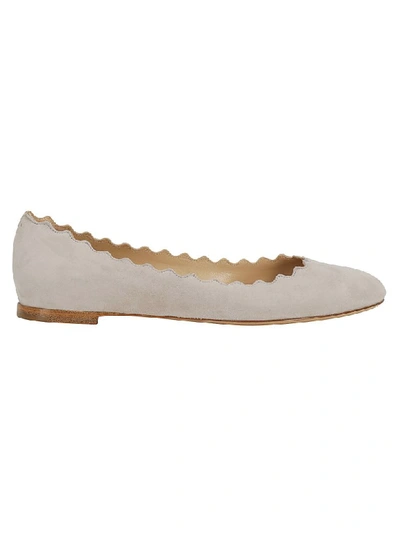 Chloé Ballerinas In Elephant Grey