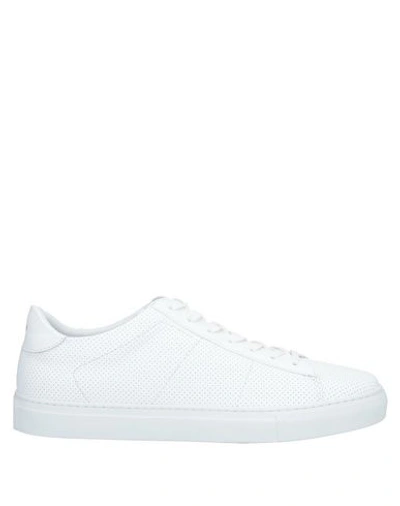 Dondup Sneakers In White