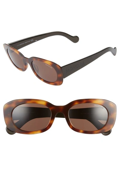 Moncler 52mm Oval Sunglasses In Dark Havana/ Brown
