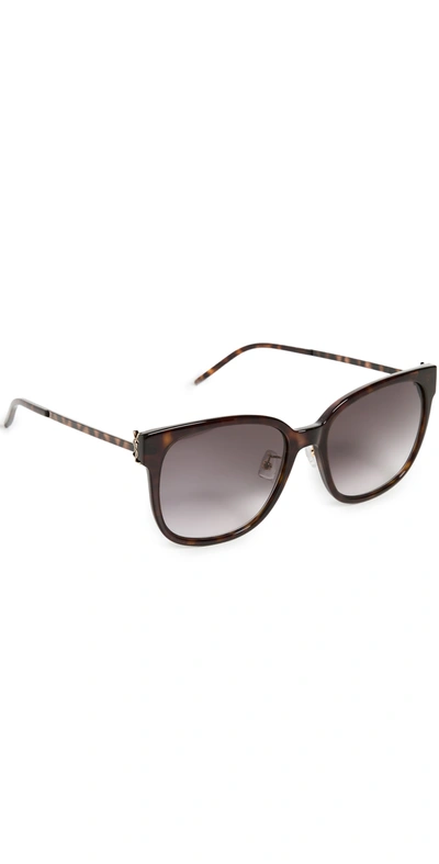 Saint Laurent Square Acetate & Metal Sunglasses In Havana