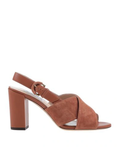 Tod's Sandals In Brown