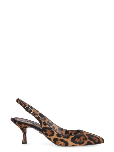 Dolce & Gabbana Calfhair Pointy-toe Slingback In Multicolor