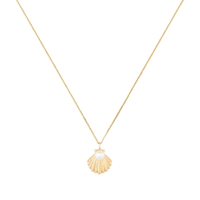 Ariel Gordon Jewelry Lido Shell Pendant Necklace In Yellow Gold/pearl