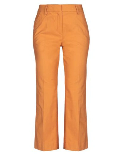 True Royal Casual Pants In Rust