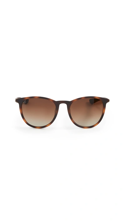 Krewe Active Unisex Perdido Polarized Oversized Round Sunglasses, 56mm In Matte Bay Tortoise/amber Gradient Polarized