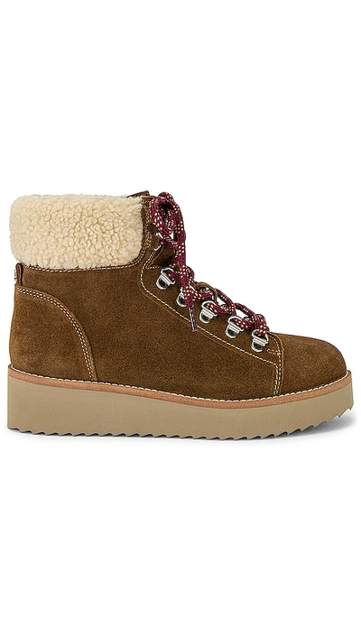 Sam Edelman Women's Franc Hiker Boots In Toffee Brown