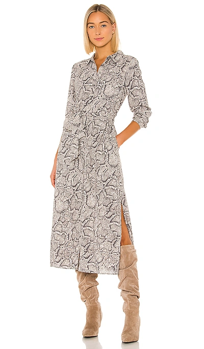 1.state Patch Pocket Snake Print Maxi Dress In Feather Grey