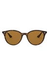 Ray Ban Phantos 53mm Round Sunglasses In Havana/ Brown Solid