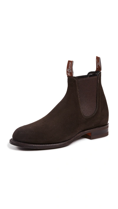 R.m.williams Comfort Turnout Boots In Chocolate