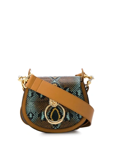 Chloé Tess Small Snake-effect And Smooth Leather Shoulder Bag In Blue