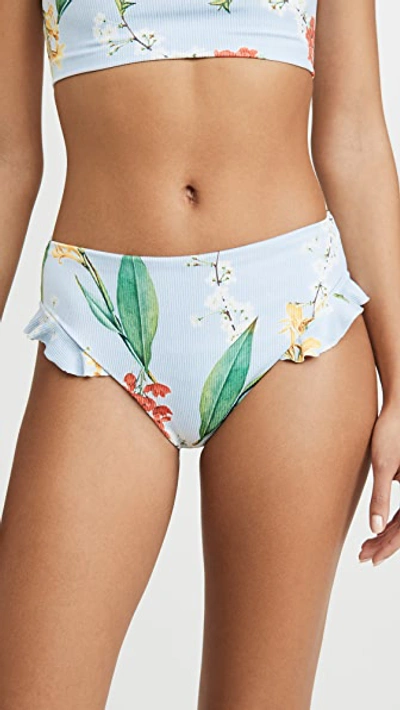 Agua Bendita Penelope Bikini Bottoms In Olympia