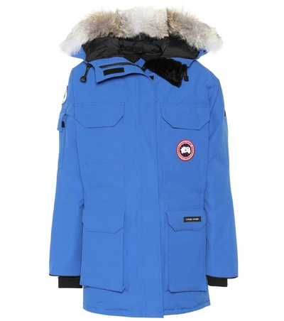 Canada Goose Pbi Expedition Hooded Down Parka With Genuine Coyote Fur Trim In Royal Blue