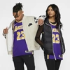 Nike Lebron James Lakers Statement Edition  Nba Authentic Jersey In Field Purple/black/amarillo