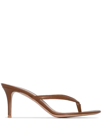 Gianvito Rossi Brown Calypso Flip Flop Leather Sandals