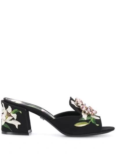 Dolce & Gabbana D & G Women's Low-heel Slides In Black