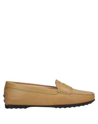 TOD'S Loafers 11619338GW 3