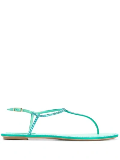 René Caovilla Women's Diana Crystal-embellished Satin T-strap Sandals In Green