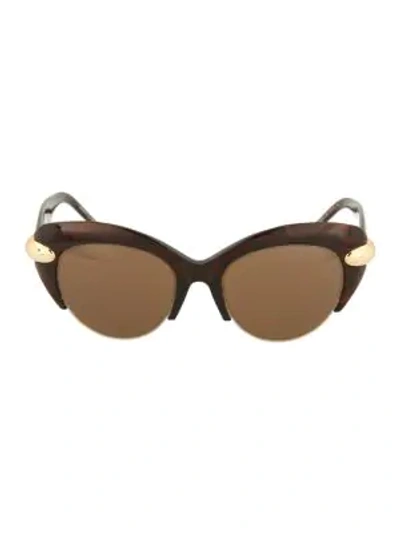 Pomellato 52mm Cat Eye Novelty Sunglasses In Avana Brown