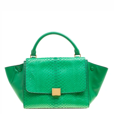 Pre-owned Celine Green Python And Leather Small Trapeze Bag
