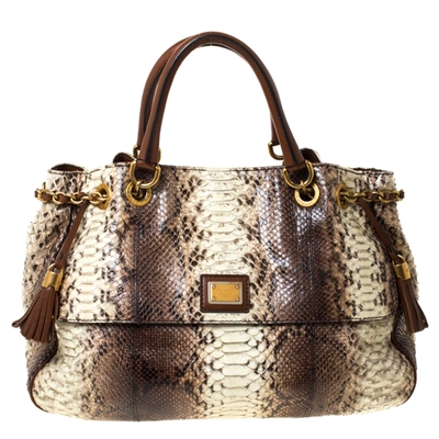 Pre-owned Dolce & Gabbana Brown Python And Leather Hobo