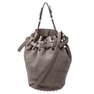 Pre-owned Alexander Wang Taupe Textured Leather Diego Bucket Bag In Grey