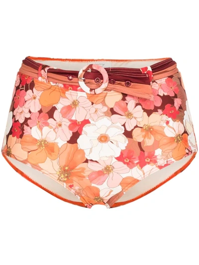 Peony Net Sustain Belted Floral-print Bikini Briefs In Red