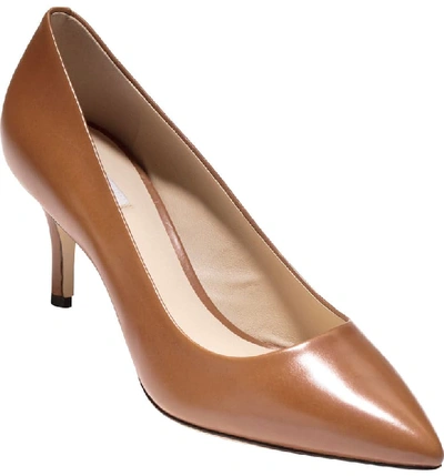 Cole Haan Vesta Pointy Toe Pump In Woodbury Leather