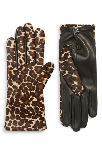 Agnelle Leopard Print Genuine Calf Hair & Lambskin Leather Gloves In Black Tactile/ Panthere