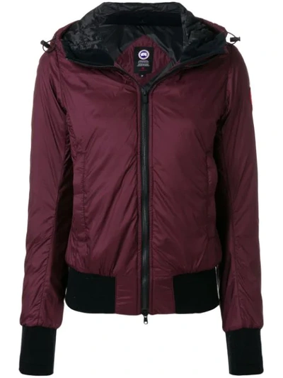 Canada Goose Dore Down Hooded Jacket In Red