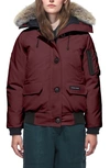 Canada Goose Chilliwack Hooded Down Bomber Jacket With Genuine Coyote Fur Trim In Dark Red