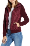 Canada Goose Hybridge 625 Fill Power Down Jacket In Elderberry