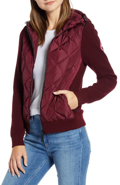 Canada Goose Hybridge 625 Fill Power Down Jacket In Elderberry