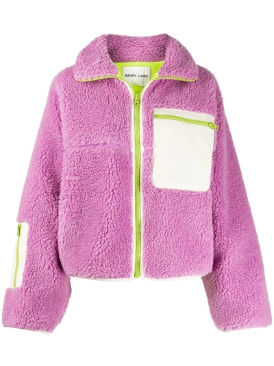 Sandy Liang Ponyo Leather-paneled Wool-blend Fleece Jacket In Pink/green