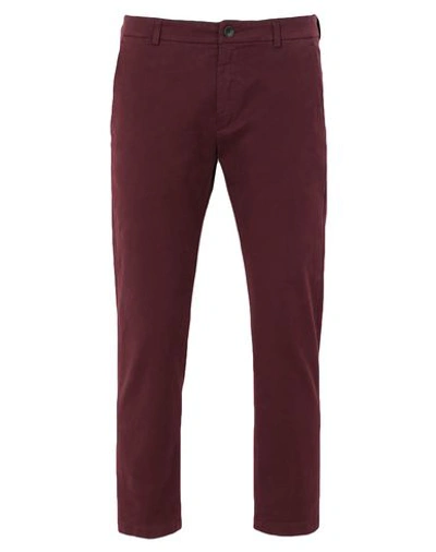 Department Five Pants In Maroon