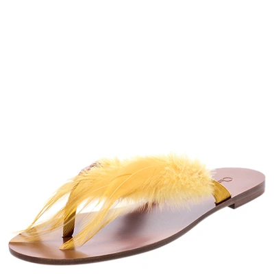 Pre-owned Dior Christian  Brown Leather And Yellow Ethnie Feather Thong Flats Size 38