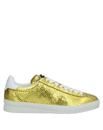 Barracuda Sneakers In Yellow