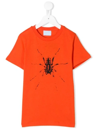Lanvin Enfant Kids' Spider Print T-shirt In Orange