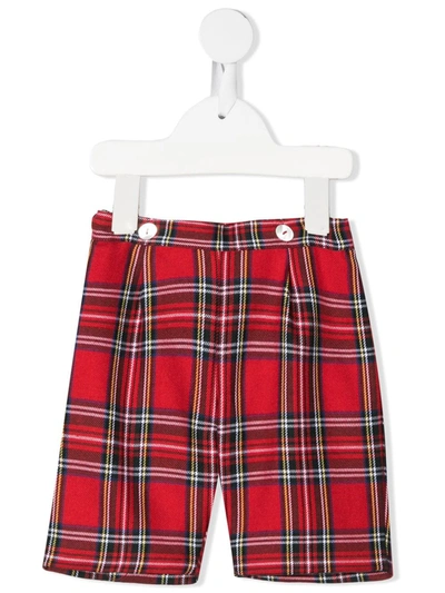 Siola Babies' Check Tailored Shorts In Rosso
