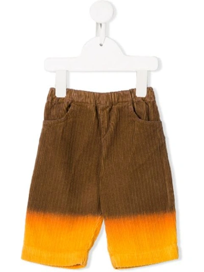 The Animals Observatory Babies' Two-tone Chinos In Brown