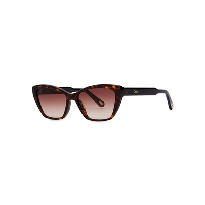 Chloé Tortoiseshell Cat-eye Sunglasses