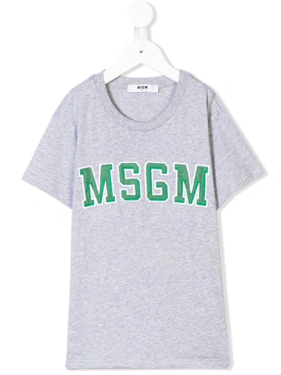 Msgm Kids' Logo Embroidered T-shirt In Grey