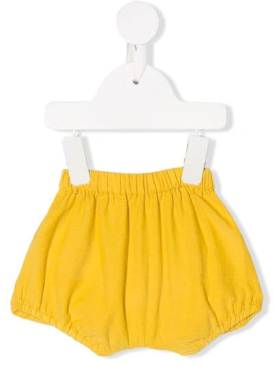 Knot Babies' Hardy Corduroy Shorts In Yellow