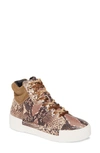 Cecelia New York Silow Platform Lace-up Sneaker In Beige Natural Snake Leather