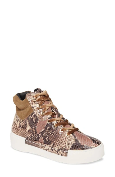 Cecelia New York Silow Platform Lace-up Sneaker In Beige Natural Snake Leather