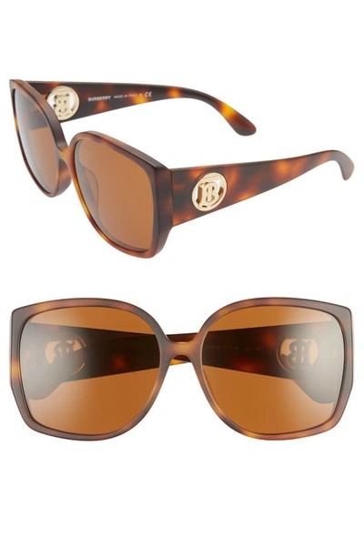 Burberry Chunky Square Acetate Sunglasses In Lite Havana/ Brown Solid