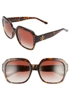 Tory Burch 56mm Round Sunglasses In Dark Tort/ Light Brown Grad