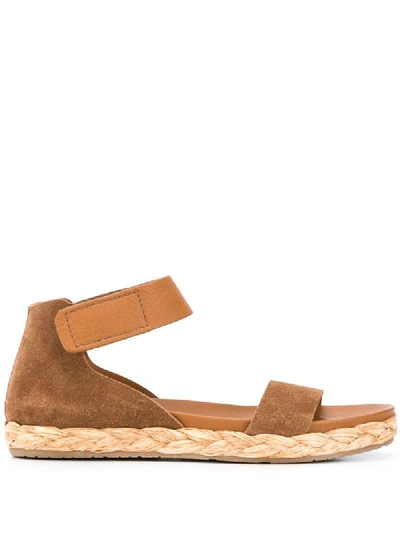 Pedro Garcia Jaida Ankle Strap Espadrille Sandal In Brown