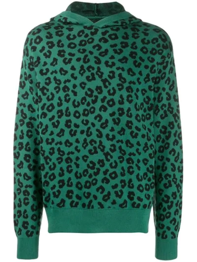 Just Don Leopard-intarsia Knitted Cotton-blend Hooded Sweatshirt In Green