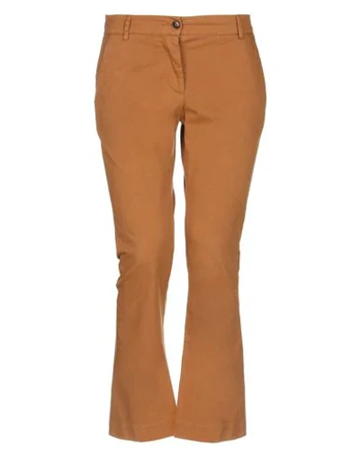 Douuod Casual Pants In Brown