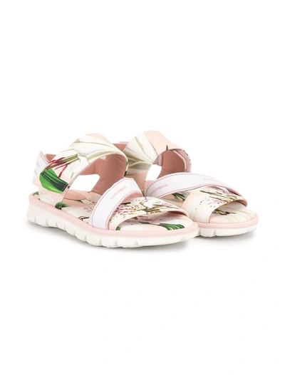 Dolce & Gabbana Kids' Floral Print Sandals In White